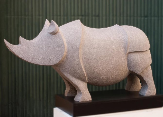 Rhinoceros